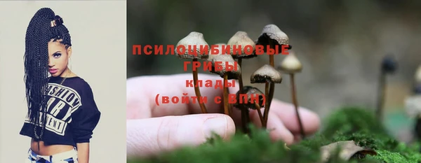прущая мука Каменногорск