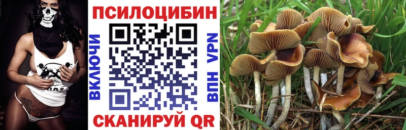 Псилоцибиновые грибы Magic Shrooms Купить где Миллерово